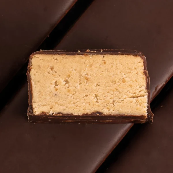 Набір протеїнових батончиків FIZI Hazelnut + choco 10 шт x 45 г фото